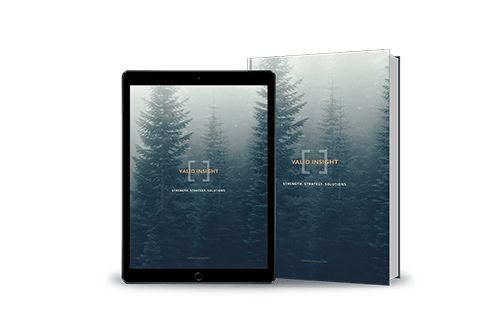 Valid Insight eBook